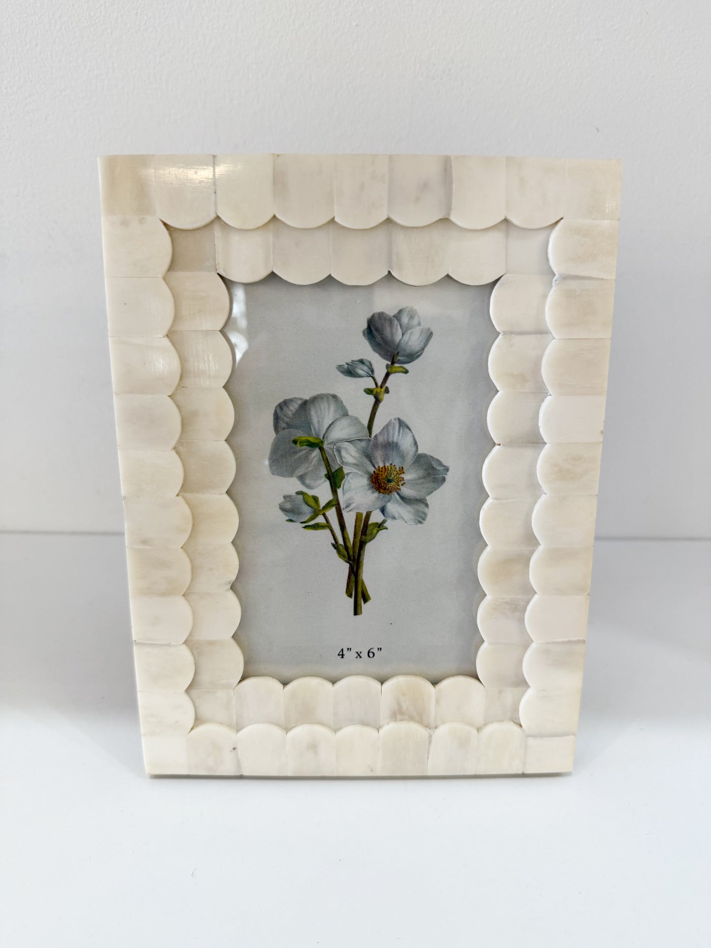 Bone 4x6 frame