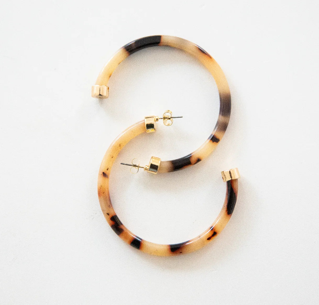 Hoo Hoops Tortoise 2"