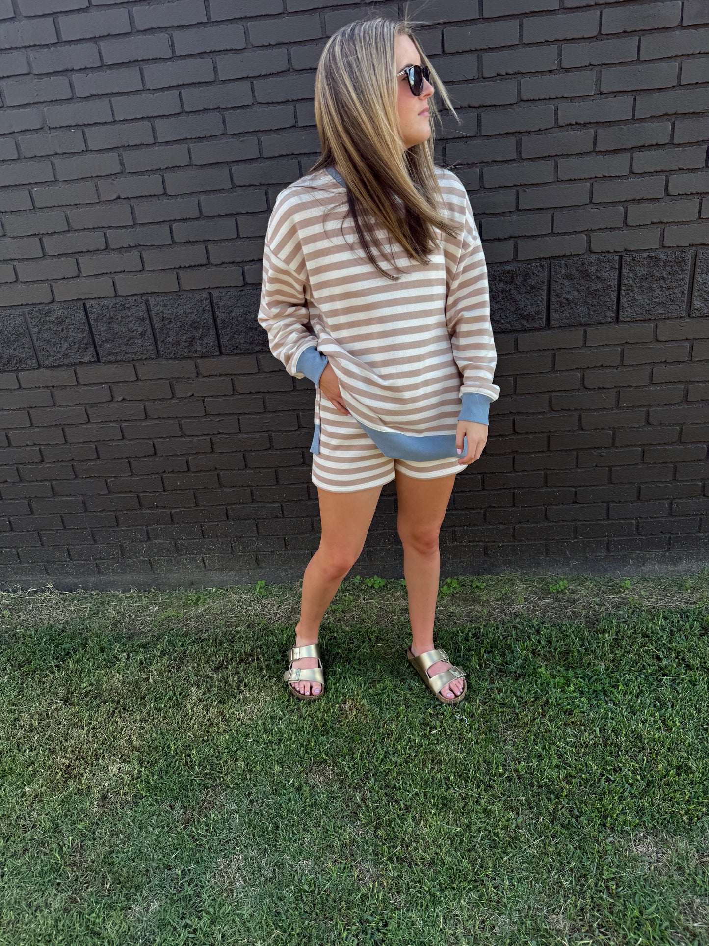 Z Supply Low Key Stripe Short