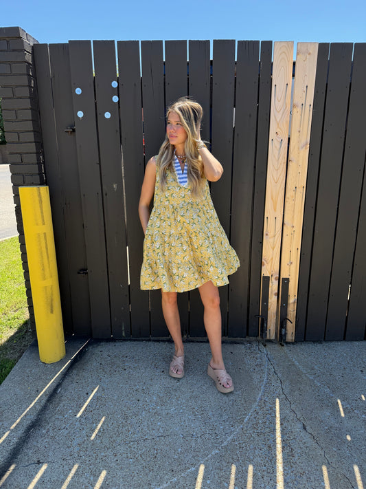 Baylor Floral Stripe Dress