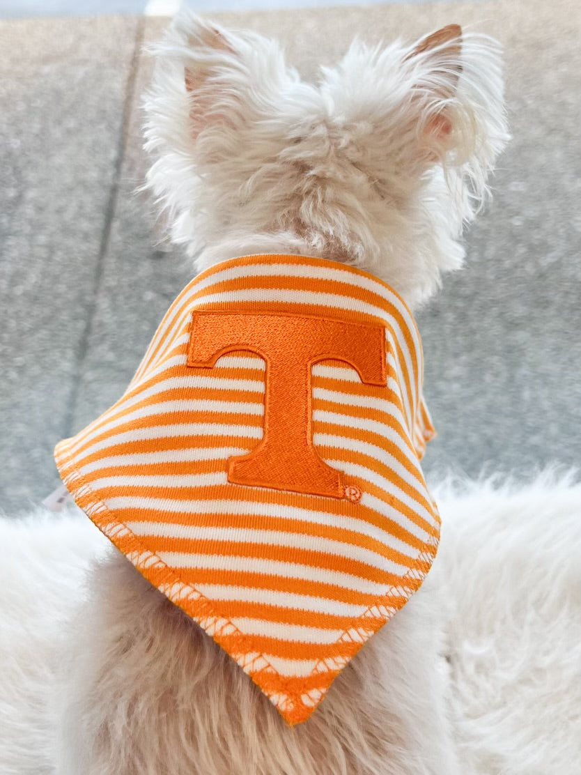 TN Orange Stripe Bib