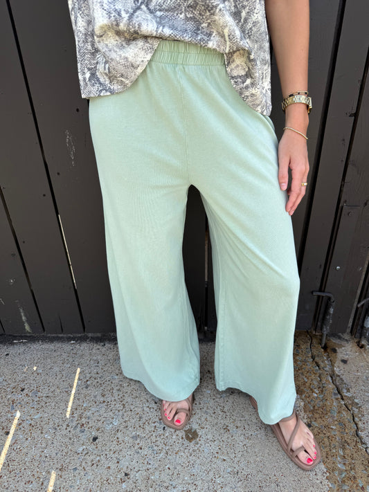 Z Supply Scout Jersey Crop Crystal Green Pant