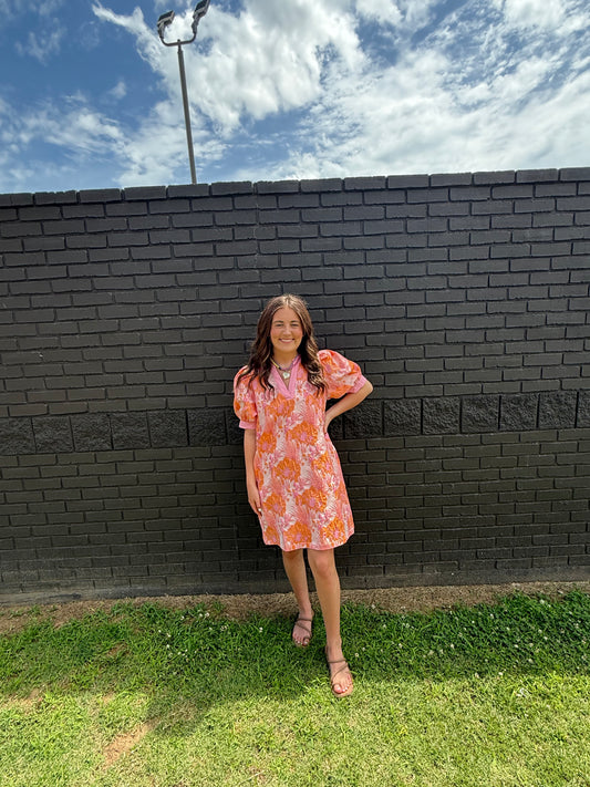 Dixon Sherbert Dress