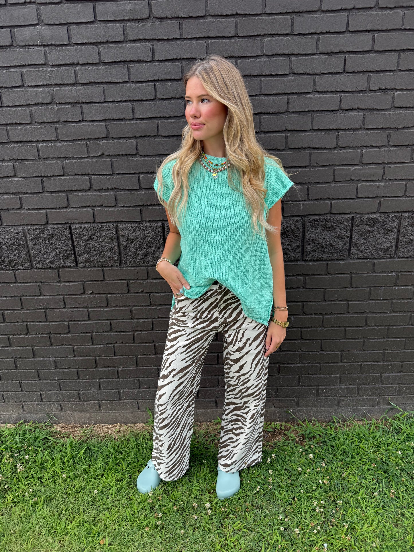 Banks Zebra Pants