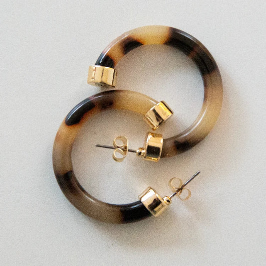 Hoo Hoops Tortoise 1"