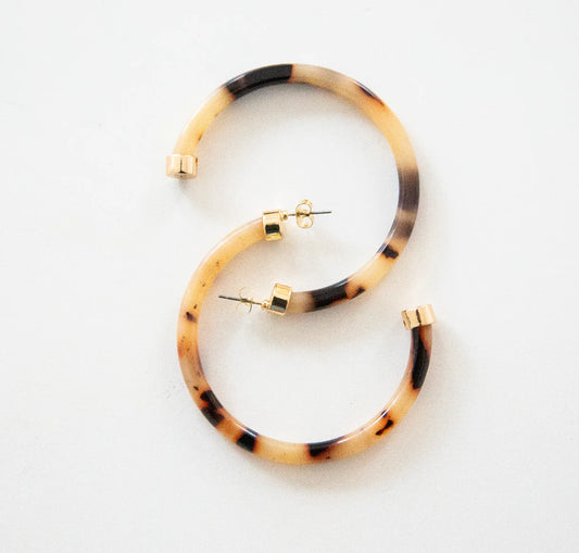 Hoo Hoops Tortoise 2"