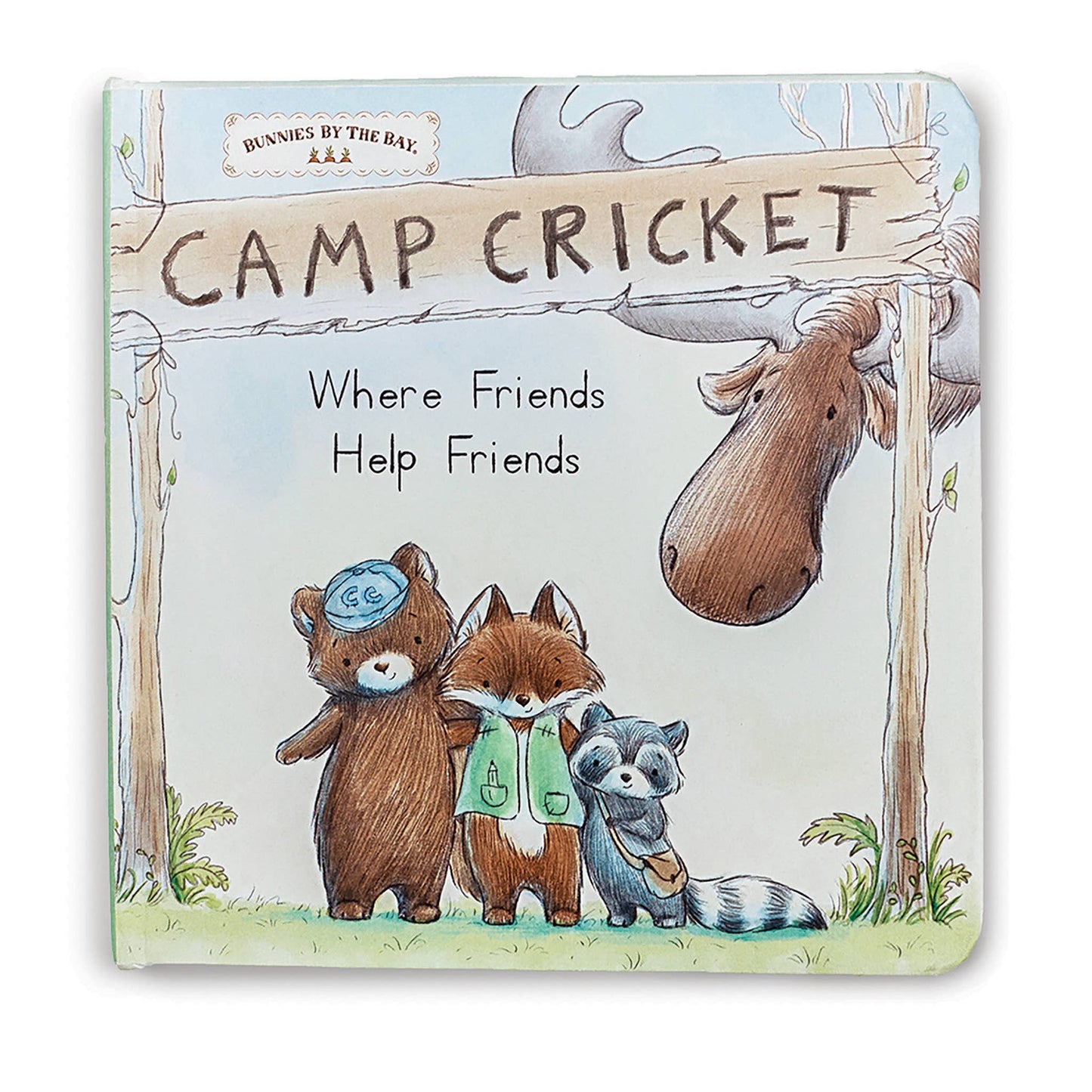 Camp Cricket Board Book